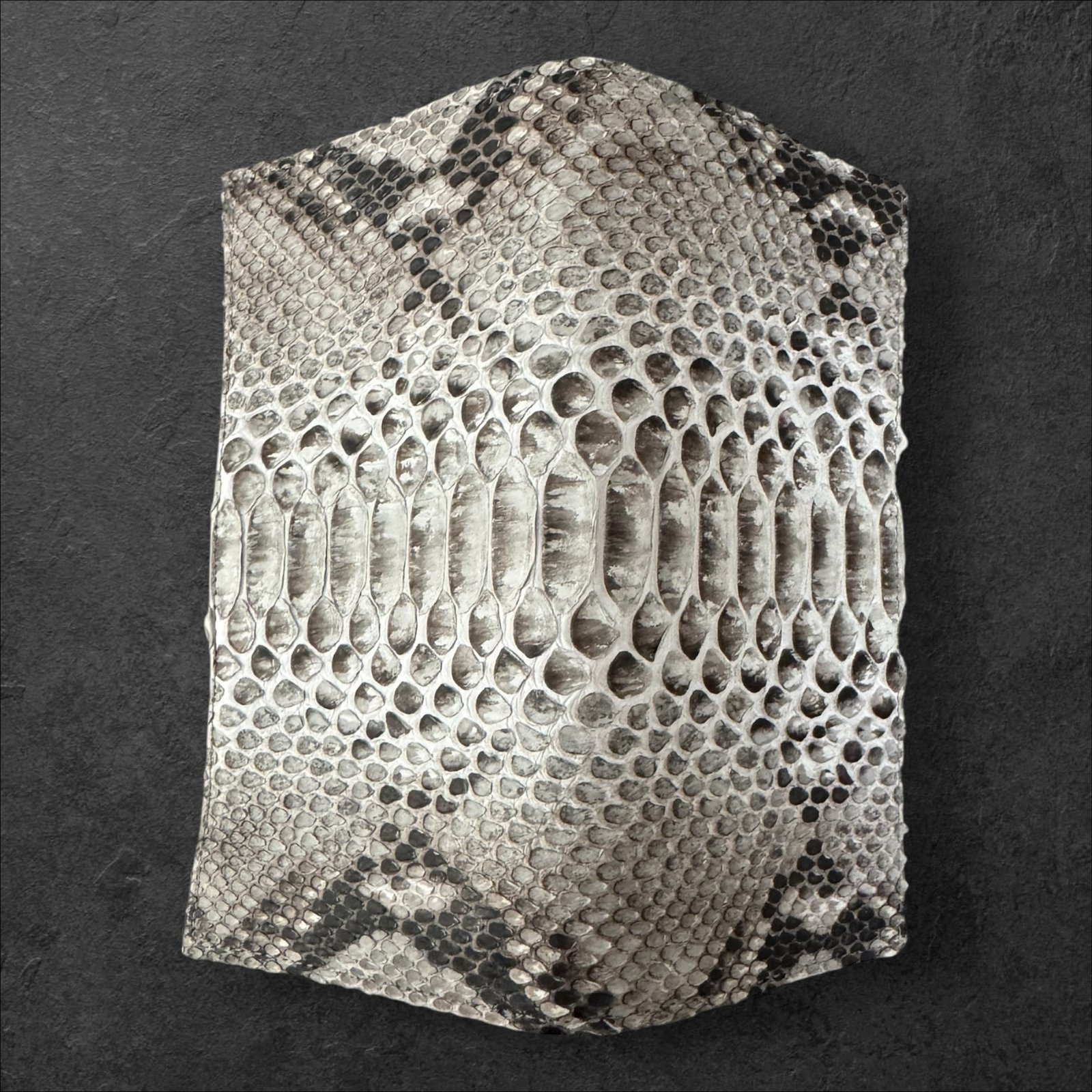 Photoroom_003_20260218_101200