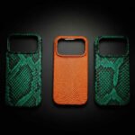 Калъф за iPhone кожа от питон