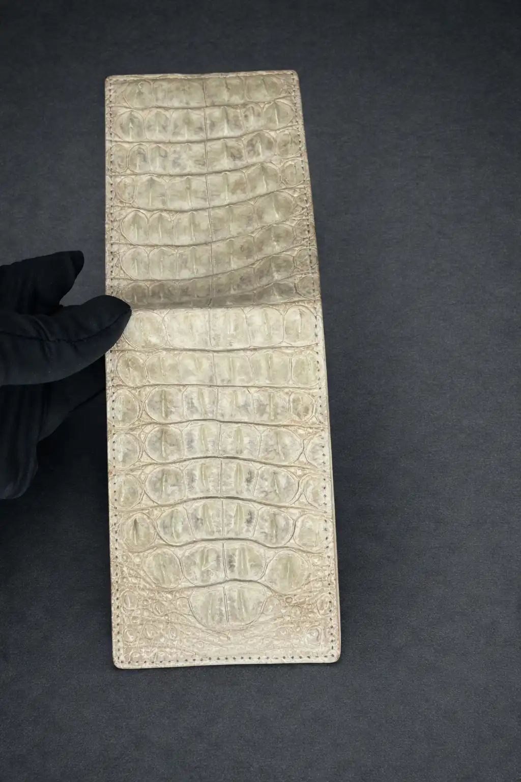 portfeil-himalai-krokodil-2